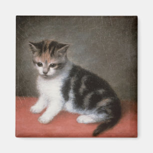 Imã George Stubbs   O Kitten de Ann White, 1790