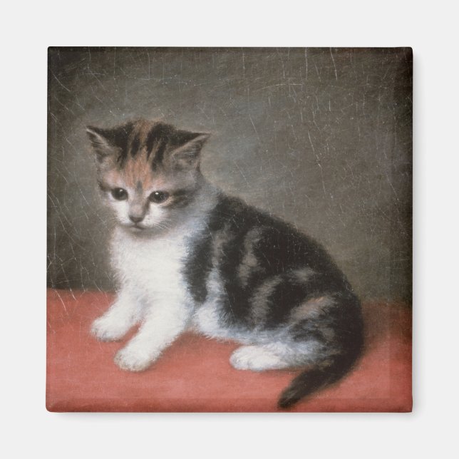 Imã George Stubbs | O Kitten de Ann White, 1790 (Frente)