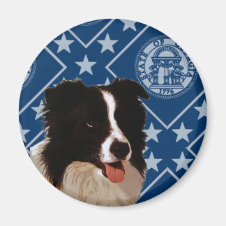 Imã Georgia Border Collie