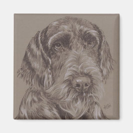 Imã Ger. Ponteiro De Cabelo