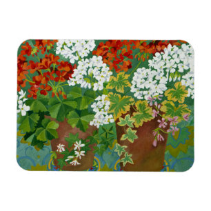 Ímã Gerânio vermelhos e brancos nos potes 2013