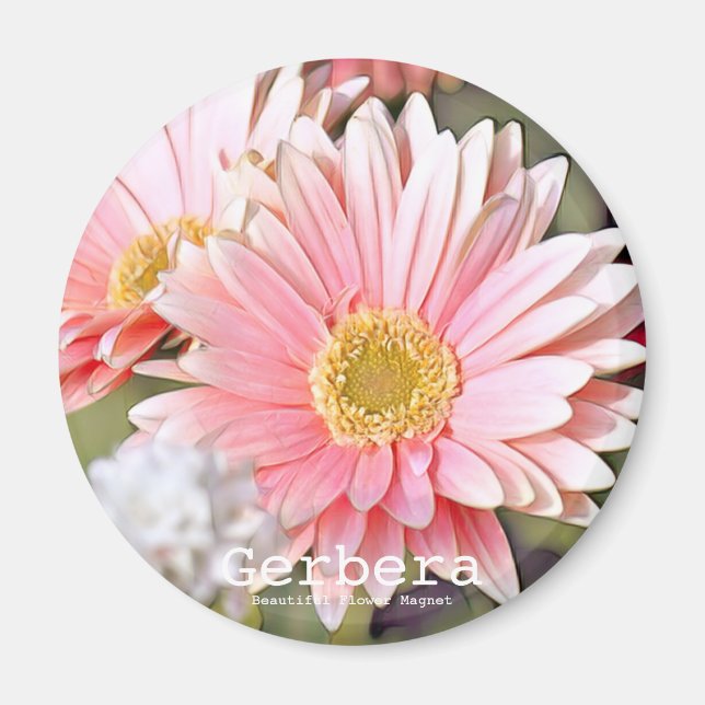 Imã Gerbera (Frente)