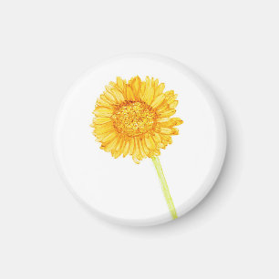 Imã Gerbera Daisy