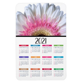 Ímã Gerbera Daisy, rosa e branco | Calendário 2021