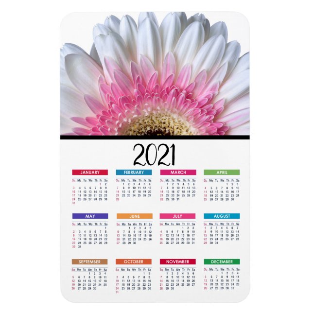 Ímã Gerbera Daisy, rosa e branco | Calendário 2021 (Vertical)
