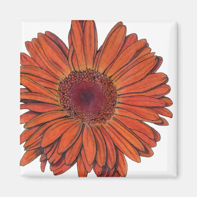 Imã Gerbera Magnet (Frente)