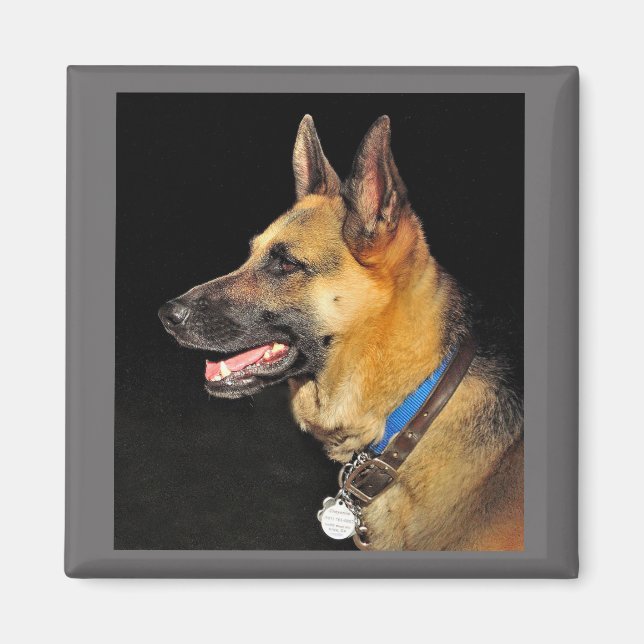 Imã German shepherd (Frente)