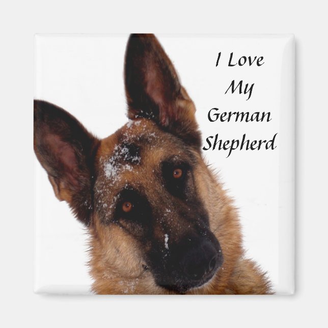 Imã German shepherd (Frente)