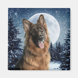 Imã German shepherd