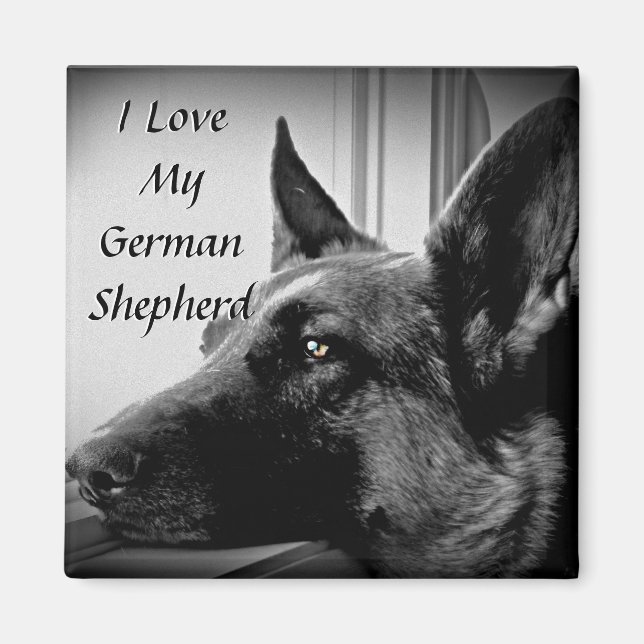 Imã German shepherd (Frente)