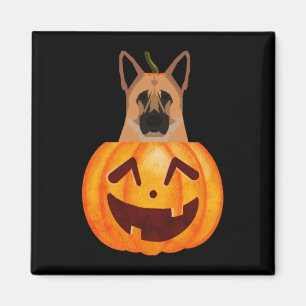 Imã German shepherd