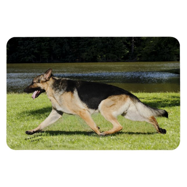 Ímã German shepherd (Horizontal)