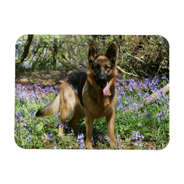 Ímã German shepherd (Horizontal)