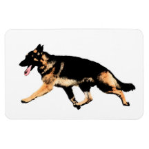 German shepherd