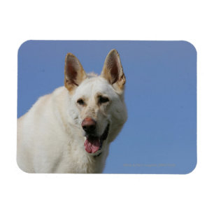 Ímã German shepherd branco