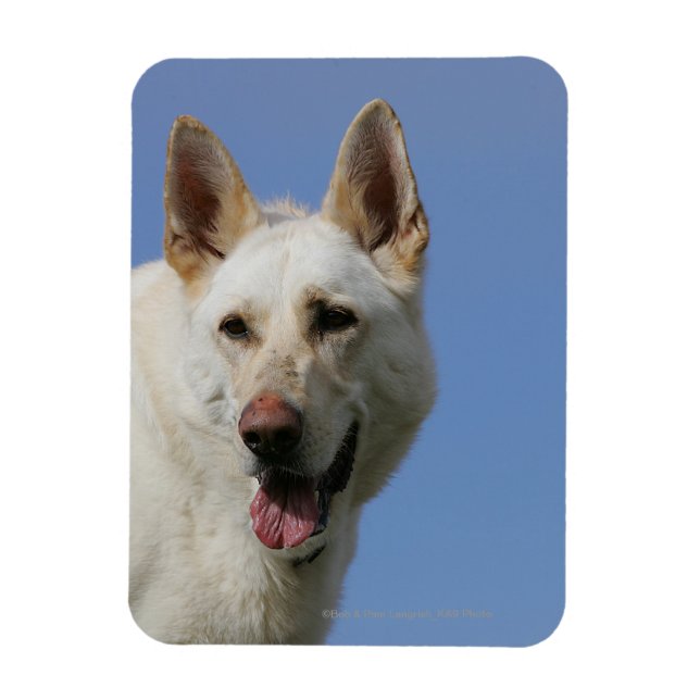 Ímã German shepherd branco (Vertical)