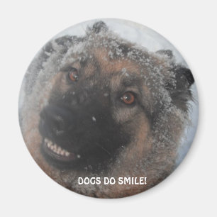 Imã German shepherd De Magnetos Na Neve Sorrindo