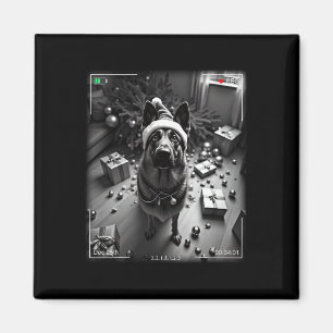 Imã German shepherd De Natal Capturado Na Câmera
