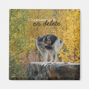 Imã German shepherd em uma rocha; Customizável