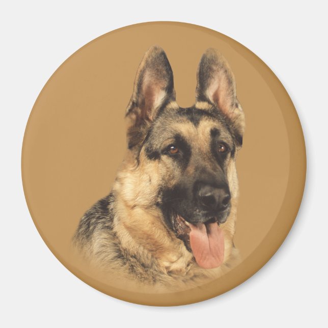 Imã German shepherd muito bonito (Frente)