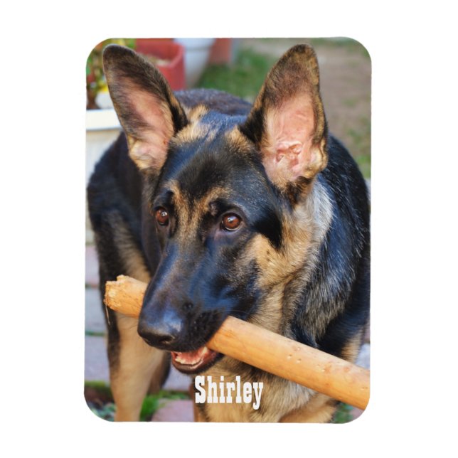 Ímã German shepherd por Shirley Taylor (Vertical)