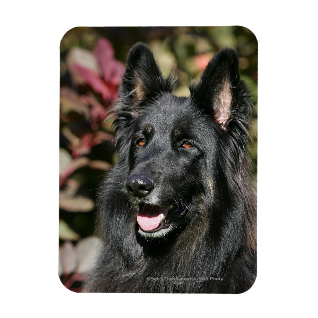 Ímã German shepherd Preto Longo (Vertical)