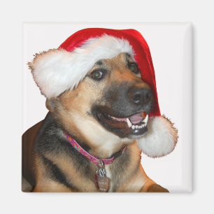 Imã German shepherd vestindo um chapéu de Papai Noel