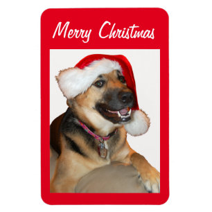 Ímã German shepherd vestindo um chapéu de Papai Noel