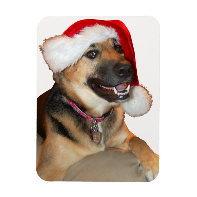 Ímã German shepherd vestindo um Chapéu do Papai Noel (Vertical)