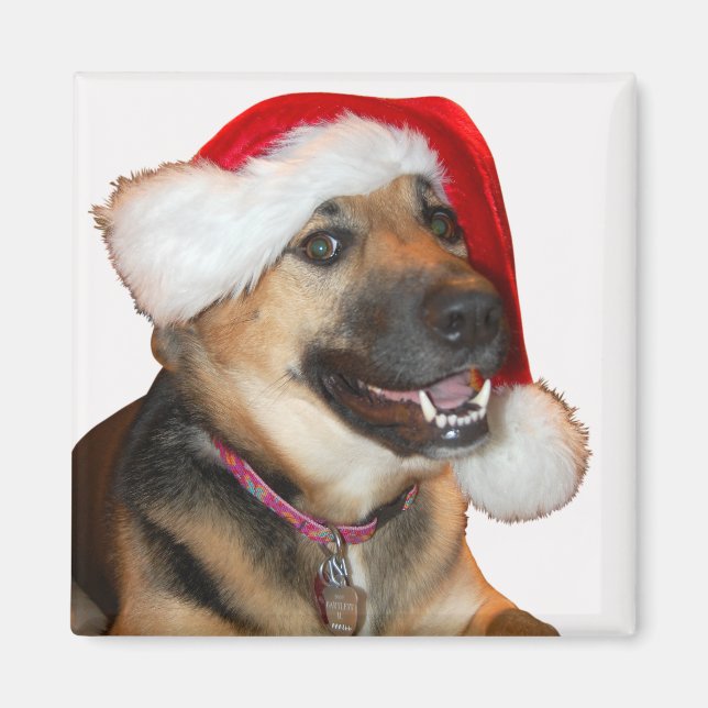Imã German shepherd vestindo um Chapéu do Papai Noel (Frente)