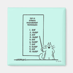 Imã Gestão de tempo