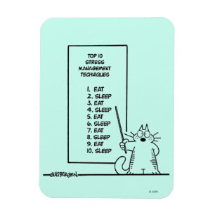 Ímã Gestão de tempo