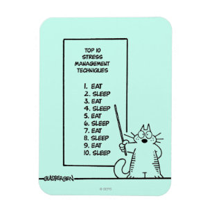 Ímã Gestão de tempo