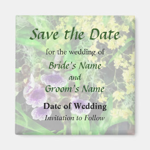 Imã Geyser Jamie e Golden Fantasy Save the Date