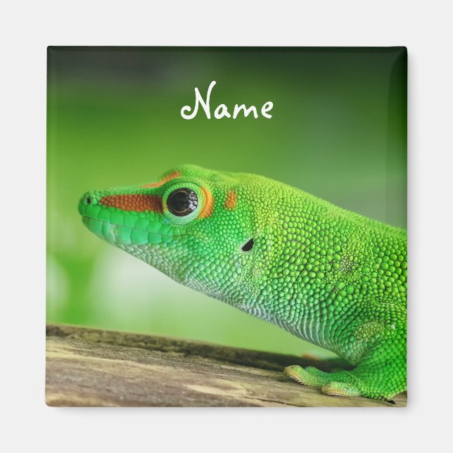 Imã Giant Green Day Gecko - Phelsuma grandis (Frente)
