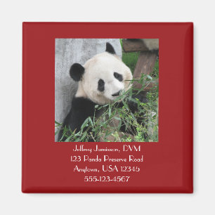 Imã Giant Pandas Magnet, Square, Veterinarian