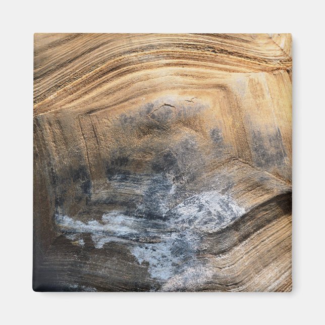 IMÃ GIANT TORTOISE SHELL (Frente)