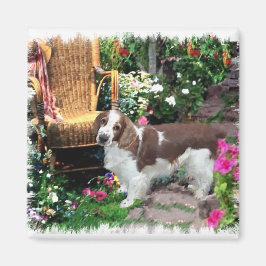 Imã Gifes de Arte do Welsh Springer Spaniel