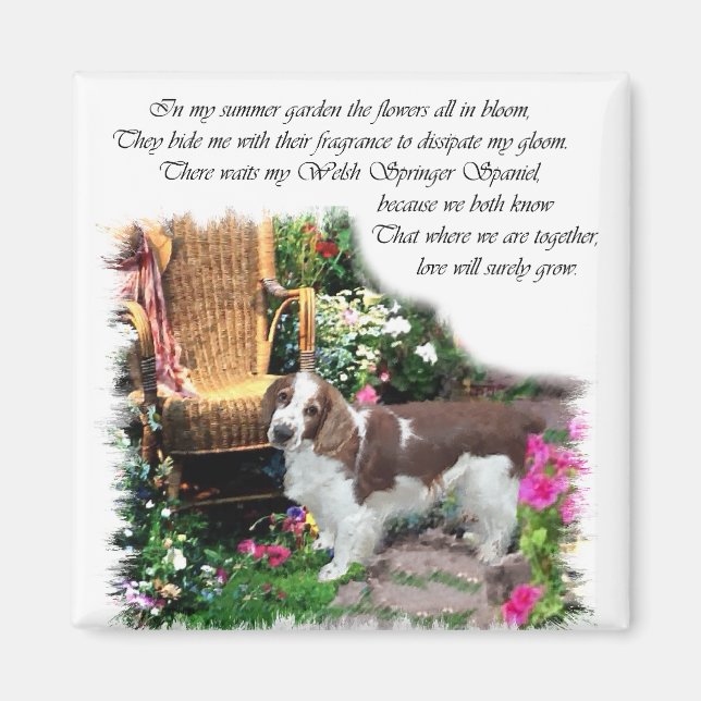 Imã Gifes de Arte do Welsh Springer Spaniel (Frente)