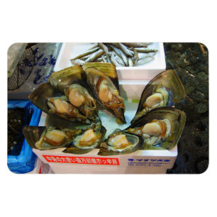Ímã Gigantes do mercado de peixe Tsukiji, Tóquio, Jap