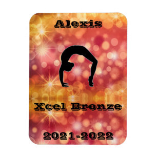 Ímã ginástica do Xcel Bronze