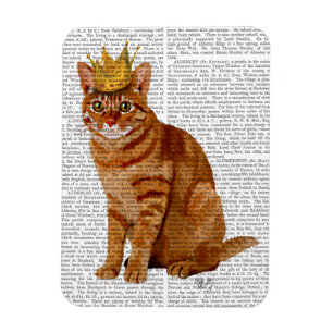 Ímã Ginger Cat com Cheio