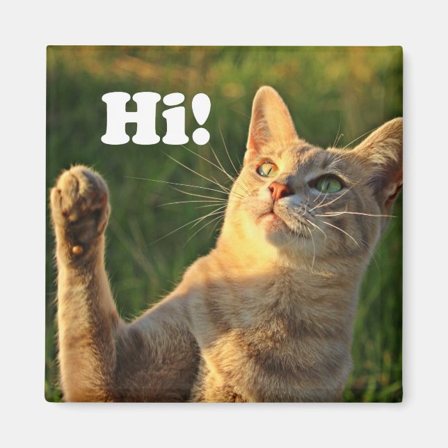 Imã Ginger Cat Dizendo Oi! (Frente)