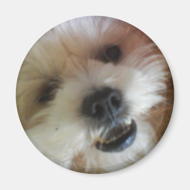 Imã Ginny Pop Magnet (Frente)