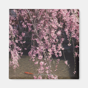 Imã Gion, prefeitura de Kyoto, Japão