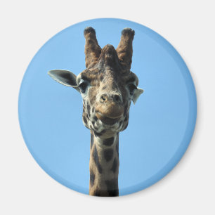 IMÃ GIRAFA