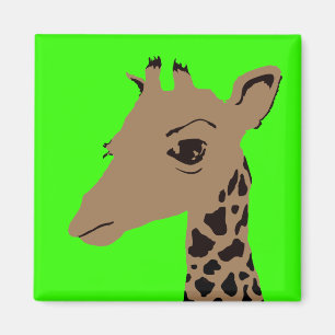 Imã girafa
