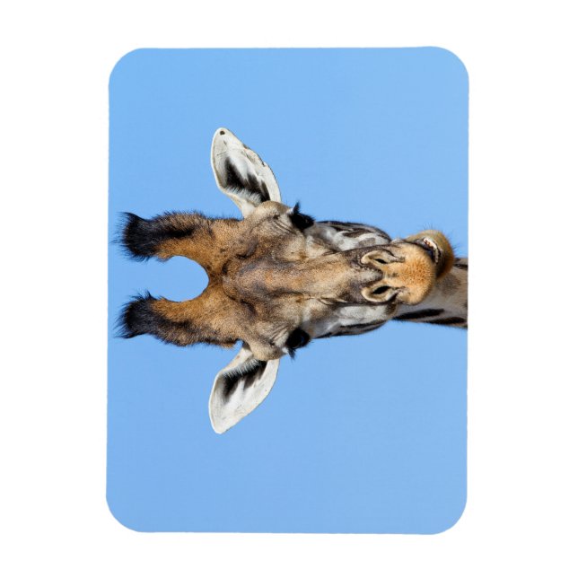 Ímã Girafa (Vertical)