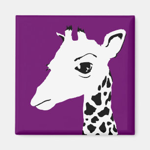 Imã girafa