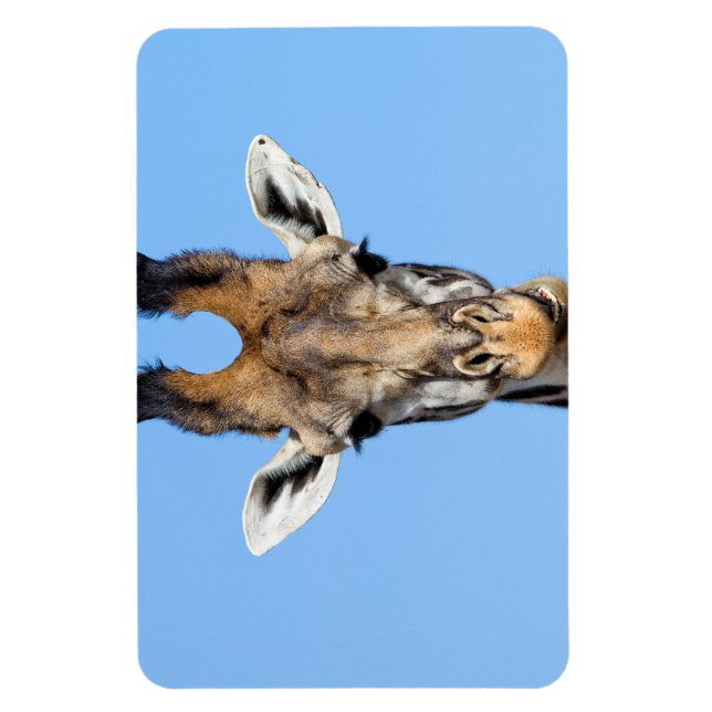 Ímã Girafa (Vertical)